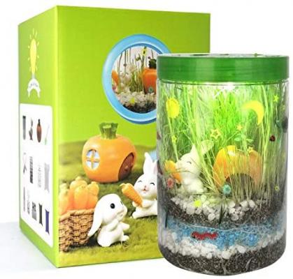 Light-up Terrarium Kit for Kids with LED Light on Lid- STEM Educational DIY Science Project