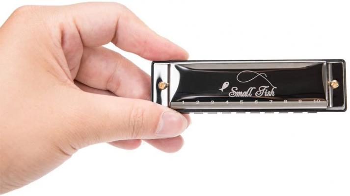 Harmonica for Kids, Toddlers, and Adults, Musical Instrument Toys for Beginners with 10 Holes and 20 Notes