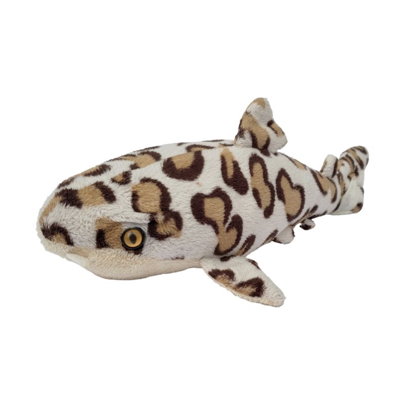 Wildlife Artists 2015 Leopard Shark 10