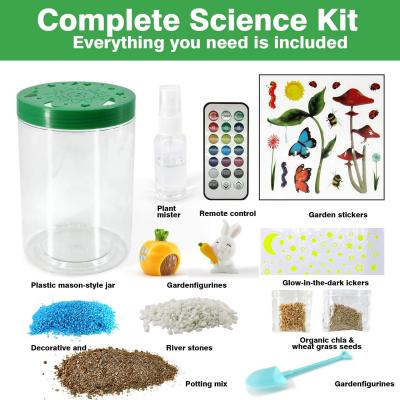 Light-up Terrarium Kit for Kids with LED Light on Lid- STEM Educational DIY Science Project