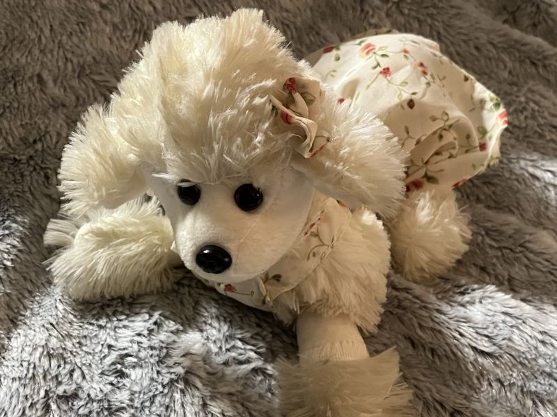 Toreba Poodle Plush