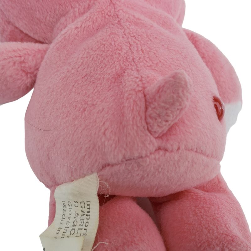 Care Bears Sleepover Pink Take Care Bear Doll 2006 14