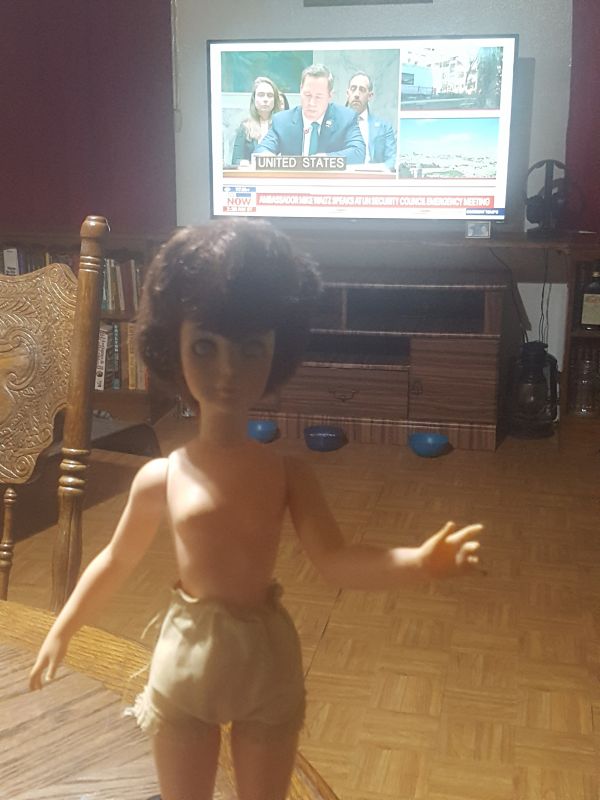 1965 Vintage Barbie Doll