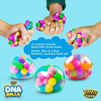 DNA Stress Balls - 3 Pack - Squeezing Stress Relief Ball