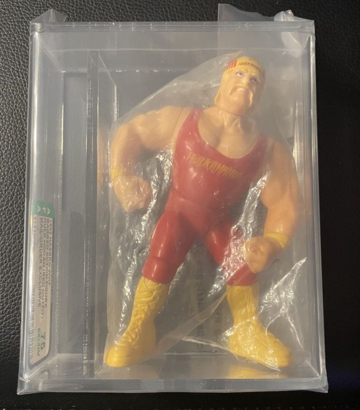 1993 Hasbro Hulk Hogan Mailaway Graded
